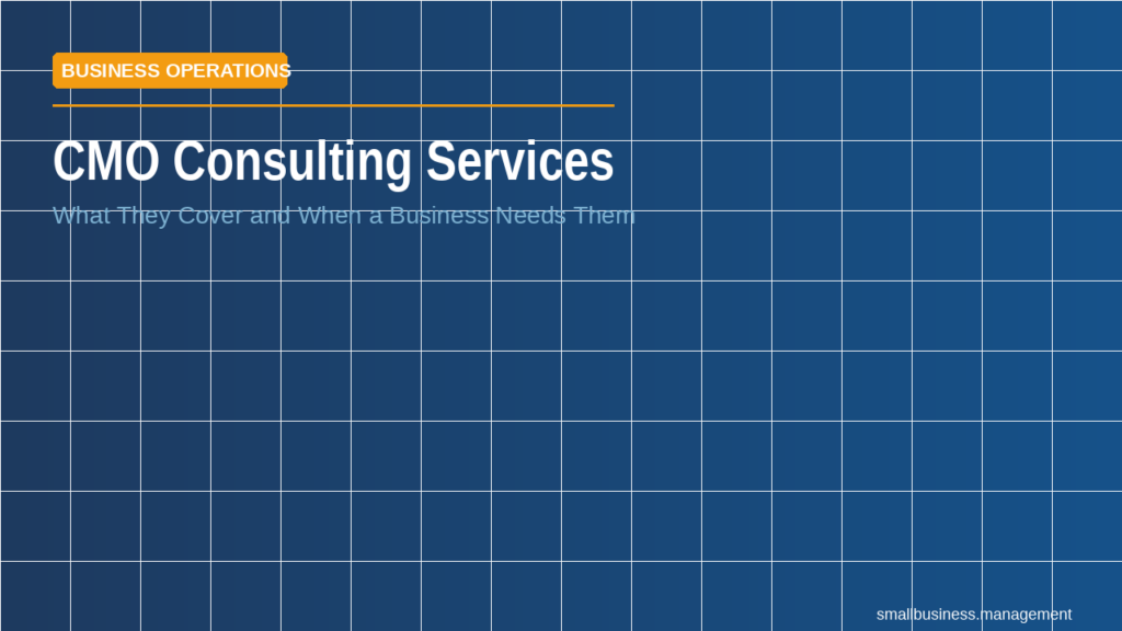 Hero banner for CMO Consulting Services with orange 'BUSINESS OPERATIONS' label on a blue tiled background and subtitle 'What They Cover and When a Business Needs Them'