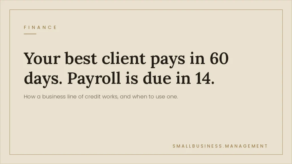 Business Line of Credit: How It Works and When to Use One - Small Business Management Hero banner for a finance article: 'Your best client pays in 60 days. Payroll is due in 14.' with a beige background and small 'FINANCE' label in the top-left; bottom-right shows 'SMALLBUSINESS.MANAGEMENT'