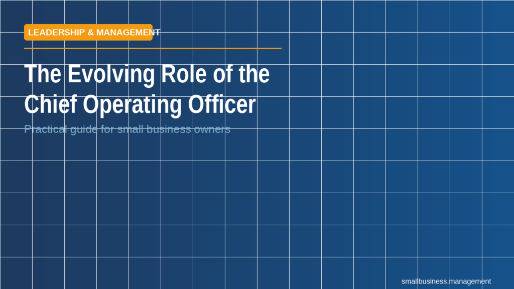 Banner title: 'The evolving Role of the Chief Operating Officer' with subtitle 'Practical guide for small business owners' and an orange Leadership & Management label on a blue grid background.