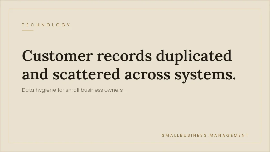 Beige hero banner with the headline “Customer records duplicated and scattered across systems,” subheading “Data hygiene for small business owners,” and a small “Technology” label in the corner.